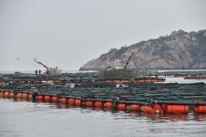 다물도가 돈섬이라 불린 데는 이유가 있다