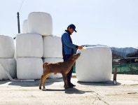 올해의 청년농업인 이재한씨