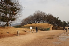 경주 반월성에 얽힌 탈해왕의 탄생 설화