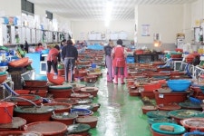 완도항 이용객 급감·썰렁한 식당가... 코로나에 완도군 비상