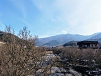 [사진] 꽃망울을 터뜨린 구례 반곡마을 산수유꽃