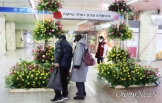 고양시, 꽃 소비 촉진 대화·마두·화정역에 장미 미니정원 만들어