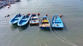 회덮밥과 된장국에 담긴 봄의 기운