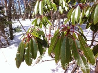 알아서 좋은 것도 있지만 몰라도 느낄 수만 있다면