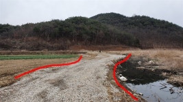 천연기념물 함안 대평늪, 관리부실로 경악 금치 못한다