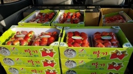 [서산] 확진자 발생 전부터 자원봉사 나선 시민들