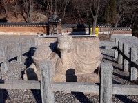 문화재를 찾아서-안양사 거북이와 부도
