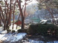 문화재를 찾아서-안양사 거북이와 부도