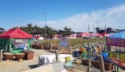 차에서 안 내리고 드라이브만 코로나가 바꾼 관광 풍경