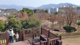 창원수목원, 경남도 제3호 공립수목원으로 등록