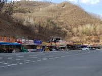 이맘때면 북적거리던 길인데... 텅 비었습니다