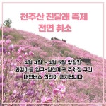 창원 천주산 진달래 축제 취소
