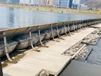 흐르는 갑천 막는 건 콘크리트 보 뿐만이 아니다