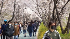 강남구, 이번 주말 양재천 전면통제