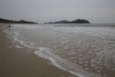 신안 임자도를 그림의 섬으로 만든 인물을 찾아서