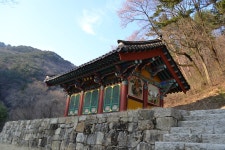 문경새재 속 숨어있는 아름다운 절 혜국사