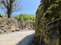 천 년의 역사 속으로 떠나는 길