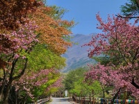 천 년의 역사 속으로 떠나는 길