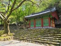 천 년의 역사 속으로 떠나는 길