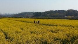 답답한 세상사 잠시 잊고 큰소리로 노래 부를 수 있는 곳