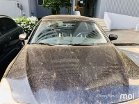 [동해] 송홧가루 날려요 외출 시 꼭 마스크 착용