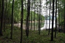 횡성 호수길 5구간 가족길을 거닐다