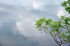 횡성 호수길 5구간 가족길을 거닐다