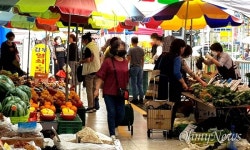 긴급재난지원금, 이렇게라도 안했으면 다 죽었을 것