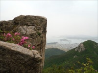 새섬봉이 와룡산 주봉으로 바뀐 사연은?