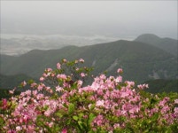 새섬봉이 와룡산 주봉으로 바뀐 사연은?