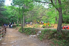 힐링과 치유... 울산에는 비대면 여행지가 있다