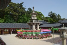 부처님 오신 날 특집 : 불국사 탐방기 1편