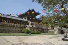 부처님 오신 날 특집 : 불국사 탐방기 2편