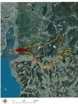 황새 서식지에 폐기물 처리장? 황새 이동 GPS 기록 살펴보니