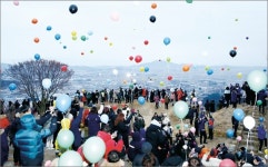 환경오염 풍선날리기 지자체 30곳, 감사원 공익감사 해야