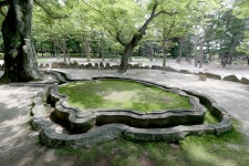 신라 임금이 진짜 인재를 찾던 방법