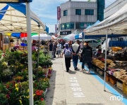 [동해] 폭염으로 사람 없어... 북평민속오일장