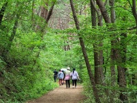 만원의 행복, 남도한바퀴 구례 버스 운행 재개