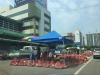 이토록 멋진 신세계, 도매시장의 참맛