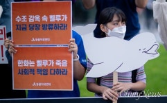 [오마이포토] 벨루가 그만 죽여