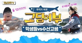 유튜브로 만나는 이색적인 완도수고 고딩어부