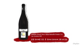 같은 포도밭 와인인데 70만원대부터 2천만원까지... 왜죠?