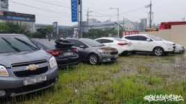 물에 빠진 차, 최소 100대... 기록적인 폭우에 차량 침수 눈덩이