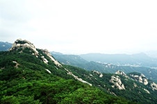 [사진] 북한산에서 만난 망태버섯