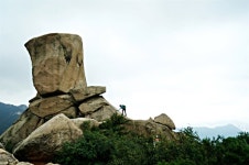 [사진] 북한산에서 만난 망태버섯