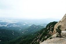 [사진] 북한산에서 만난 망태버섯