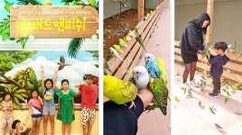 오감만족 테마파크 거제버드앤피쉬 인기