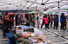 삼척시, 코로나19 유입 차단 위해 4개 전통5일장 휴장키로