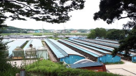 사유재산 금지한 이 마을, 어떻게 안 망했을까 [노준희의 조화로운 삶을 찾아서]