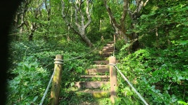 군자가 되려면 올라가야 하는 오름이 있다고?